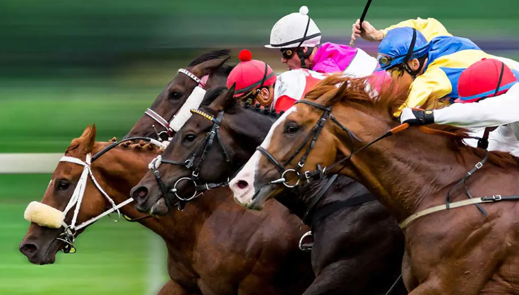 競馬の帯とは？帯馬券の取り方や払戻、税金について徹底解説！